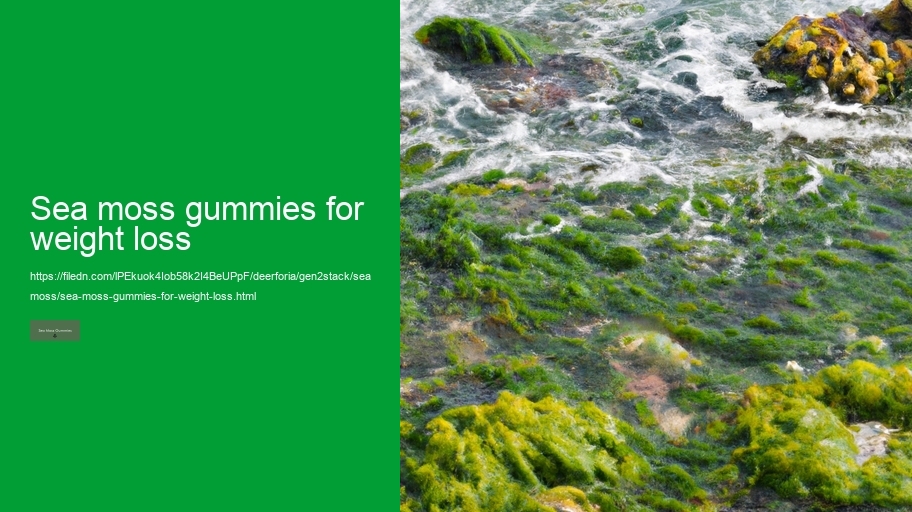 sea moss gummies for weight loss