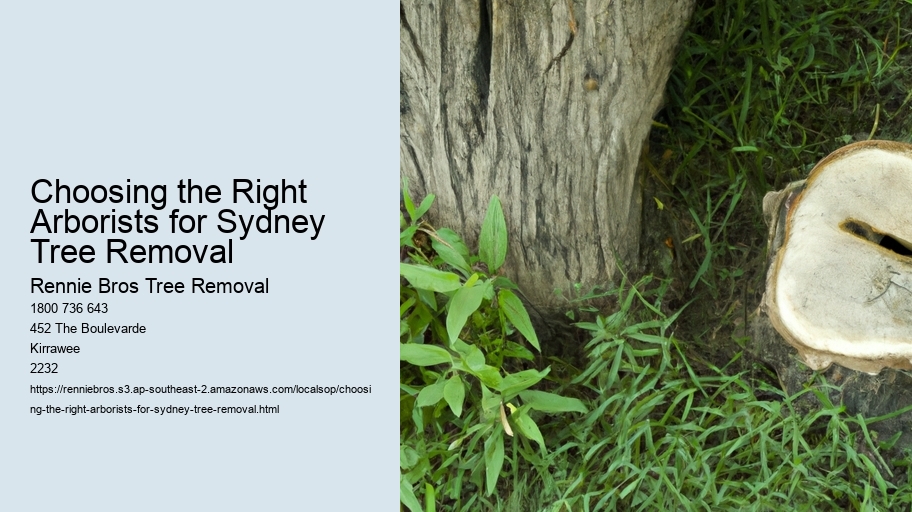 Choosing the Right Arborists for Sydney Tree Removal