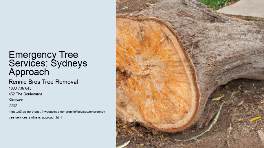 Emergency Tree Services: Sydneys Approach