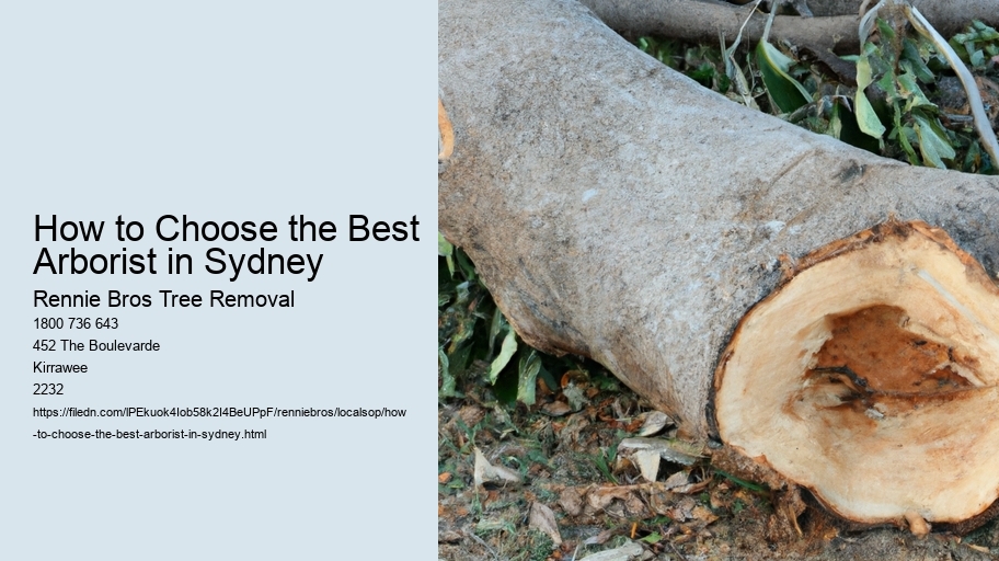 How to Choose the Best Arborist in Sydney