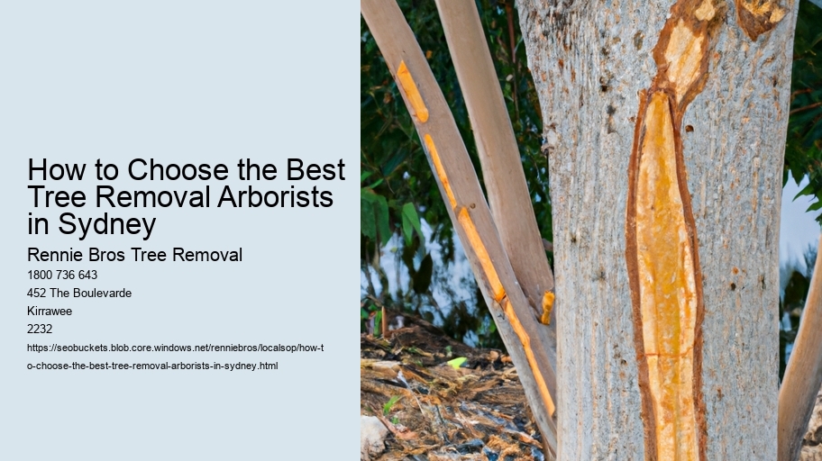 How to Choose the Best Tree Removal Arborists in Sydney