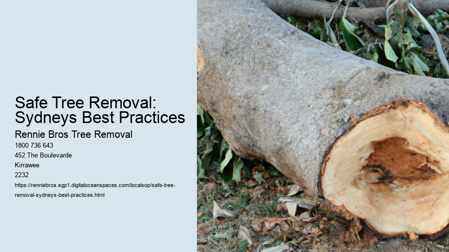 Safe Tree Removal: Sydneys Best Practices