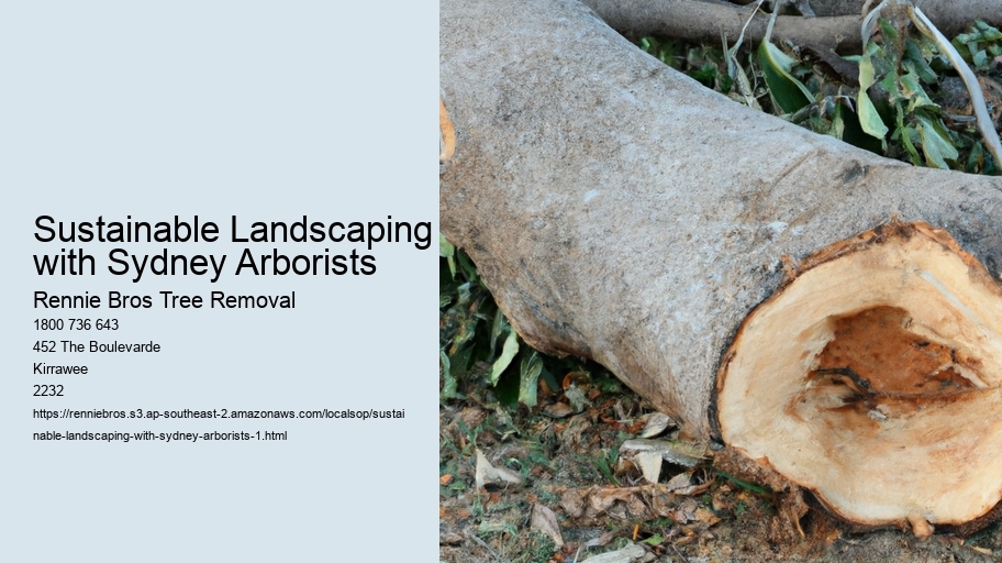 Sustainable Landscaping with Sydney Arborists