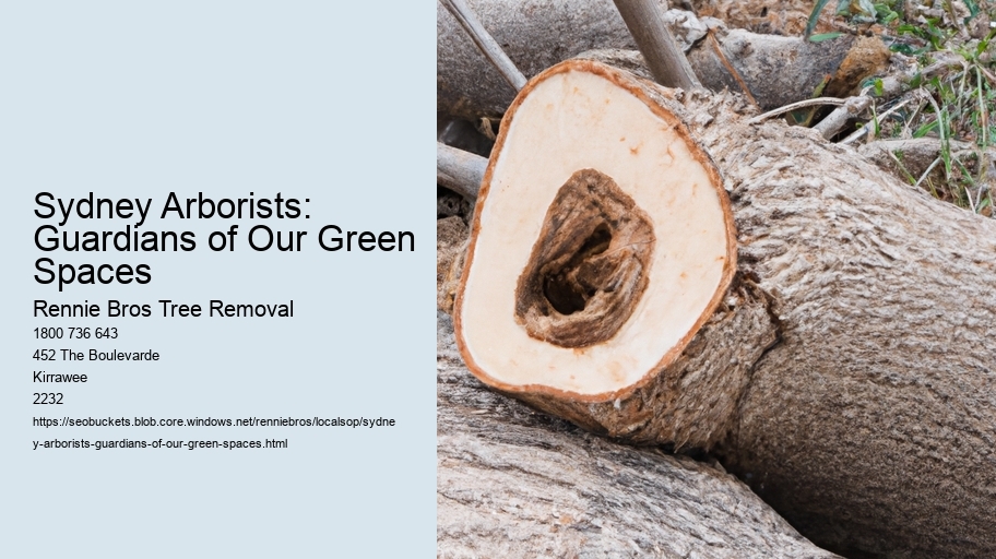 Sydney Arborists: Guardians of Our Green Spaces