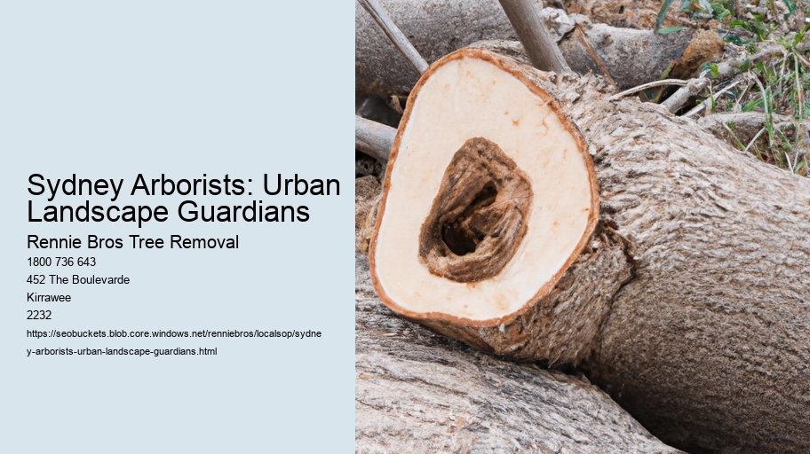 Sydney Arborists: Urban Landscape Guardians