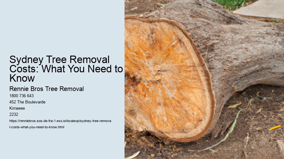 Sydney Tree Removal Costs: What You Need to Know