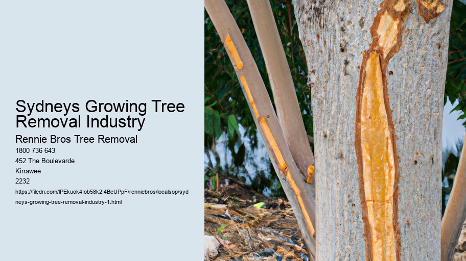 Sydneys Growing Tree Removal Industry