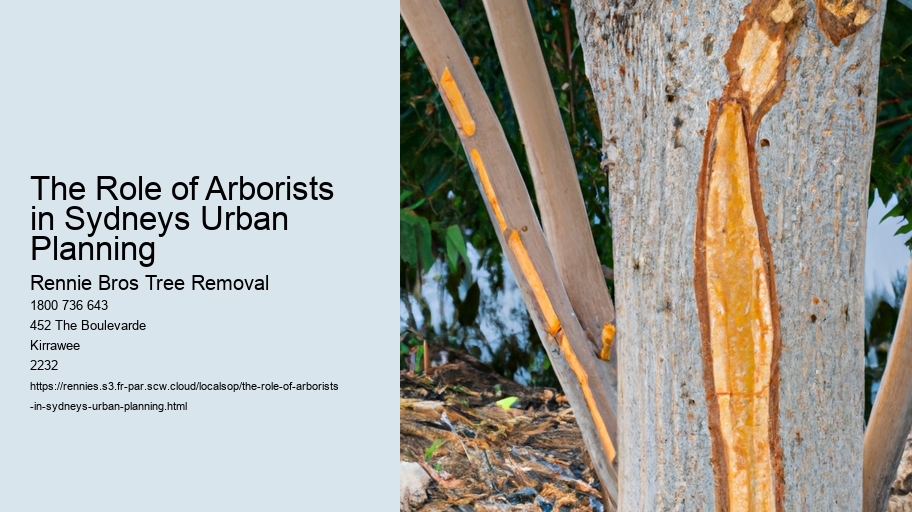The Role of Arborists in Sydneys Urban Planning