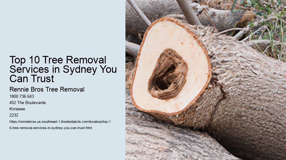 Top 10 Tree Removal Services in Sydney You Can Trust