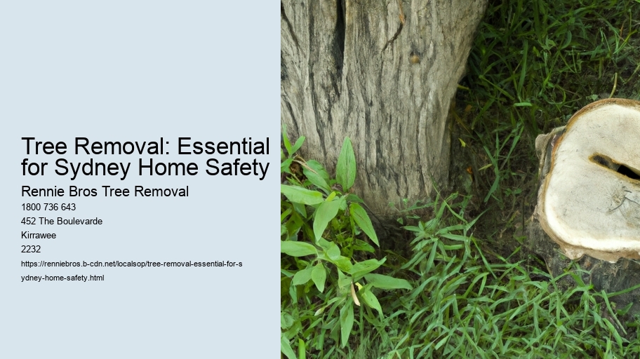Tree Removal: Essential for Sydney Home Safety