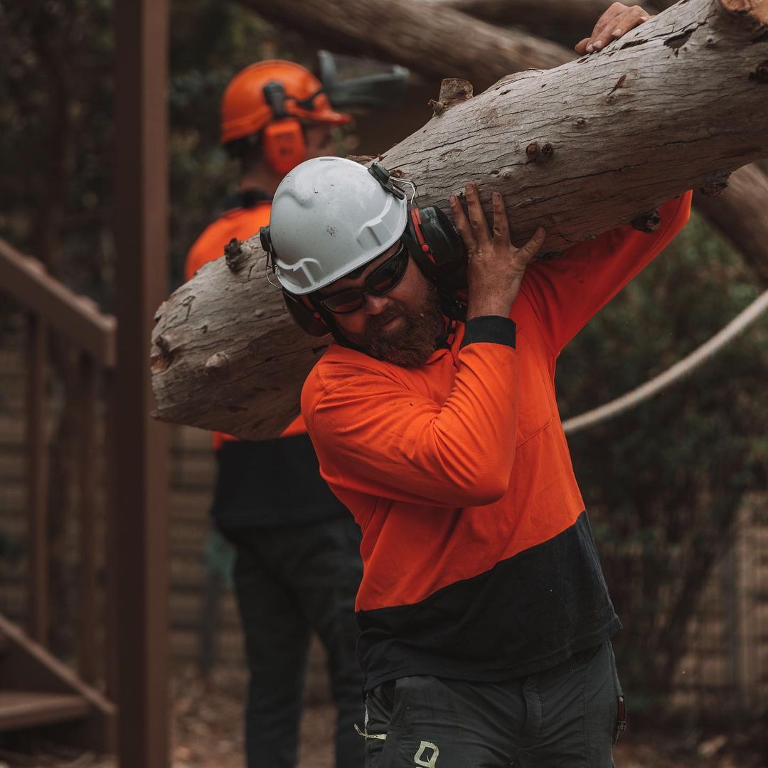 Eastern Suburbs Stump Removal