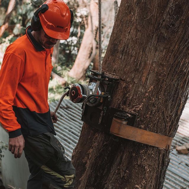 Stump Removal Inner West